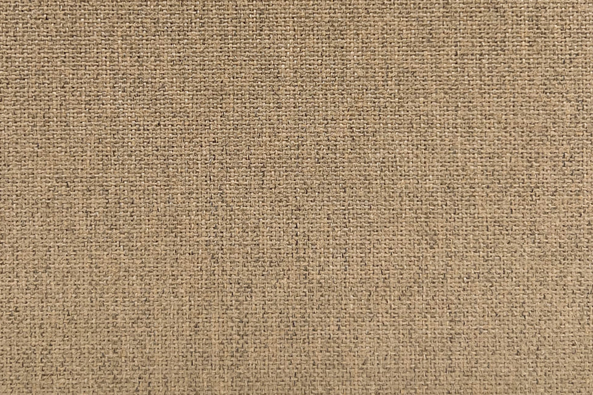 KK04387-004 Cozy Camel