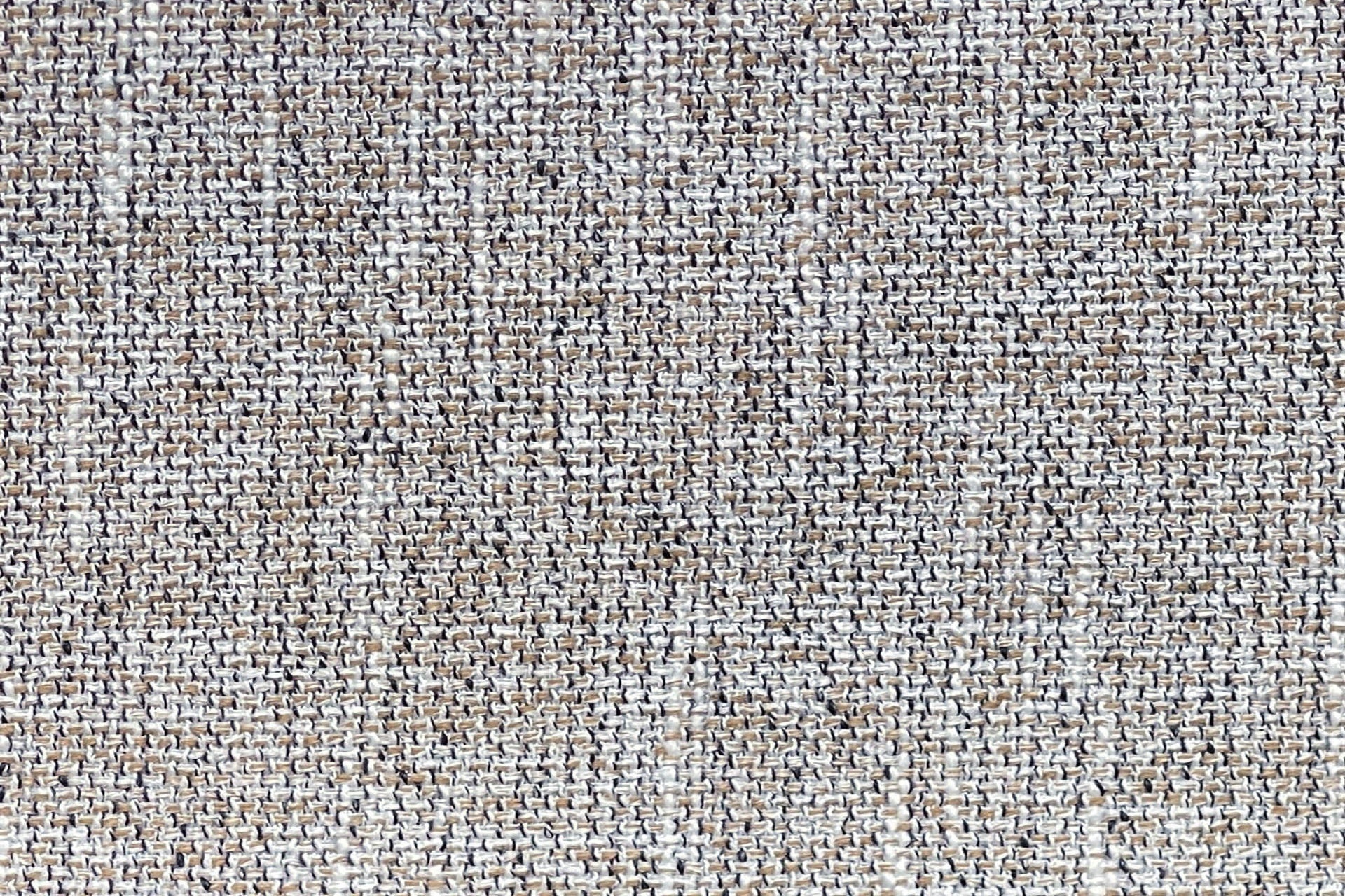 KK04519-004