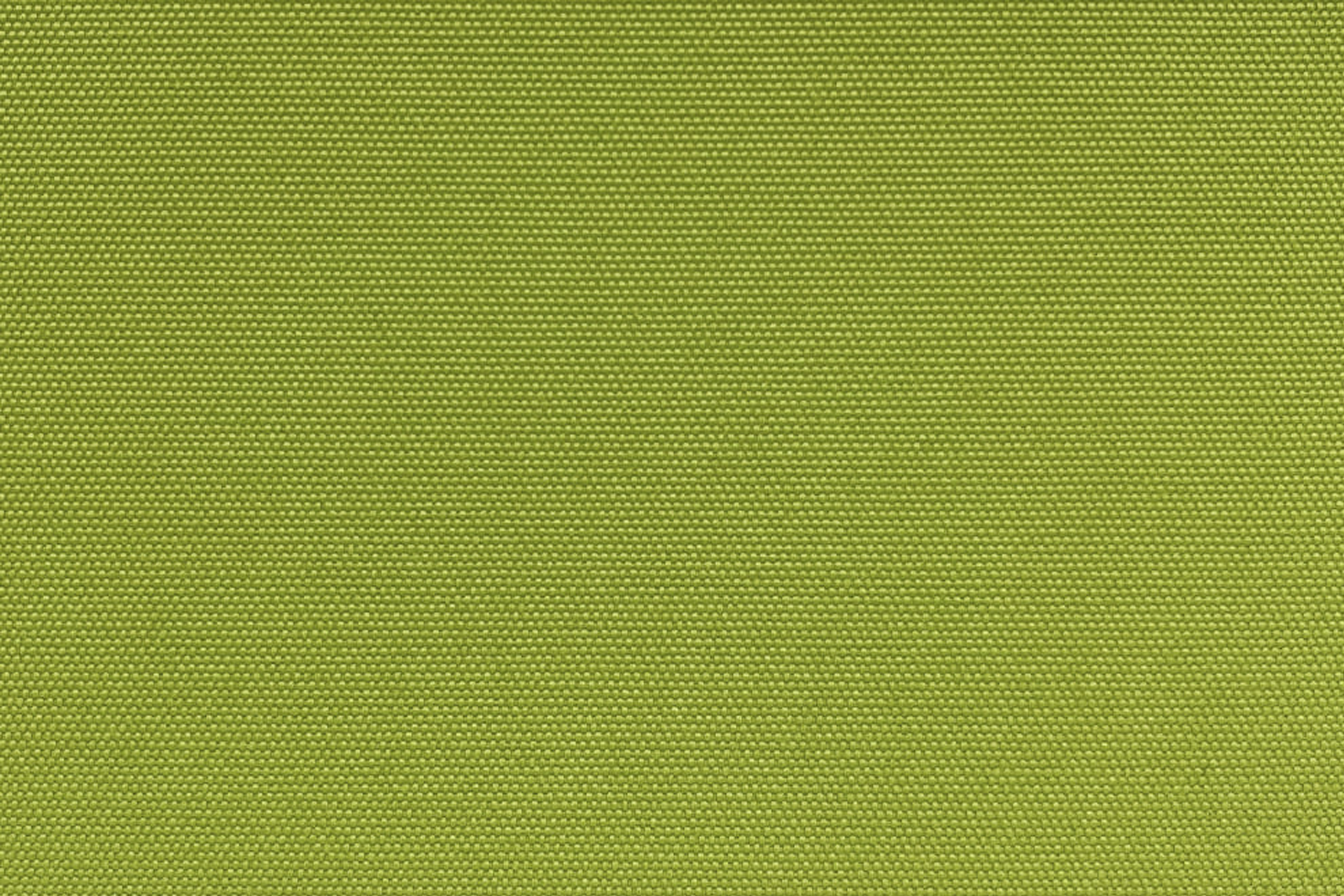 KK04386-018 Plain Lime