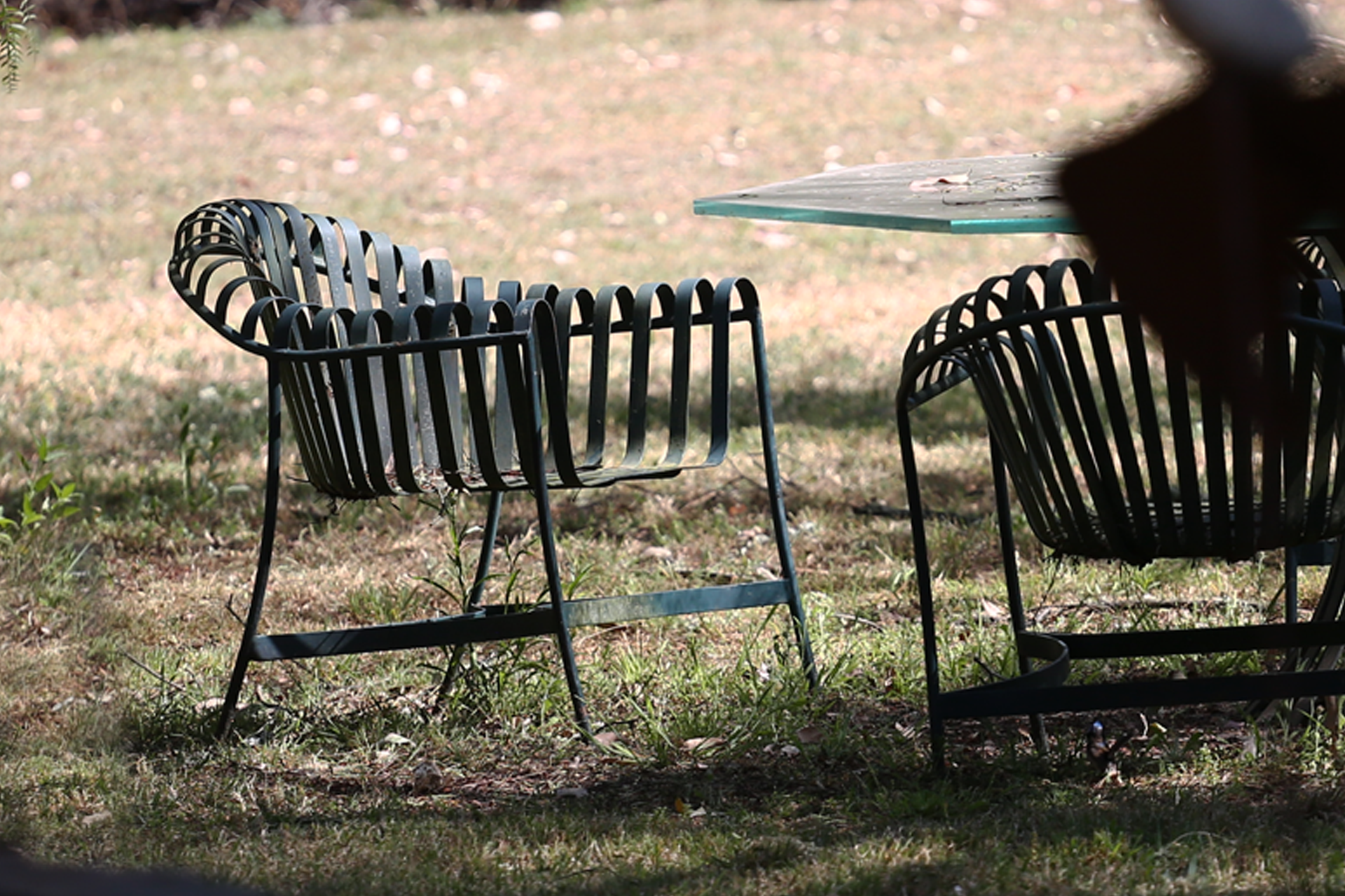 Ferro Custom Metal Armchair