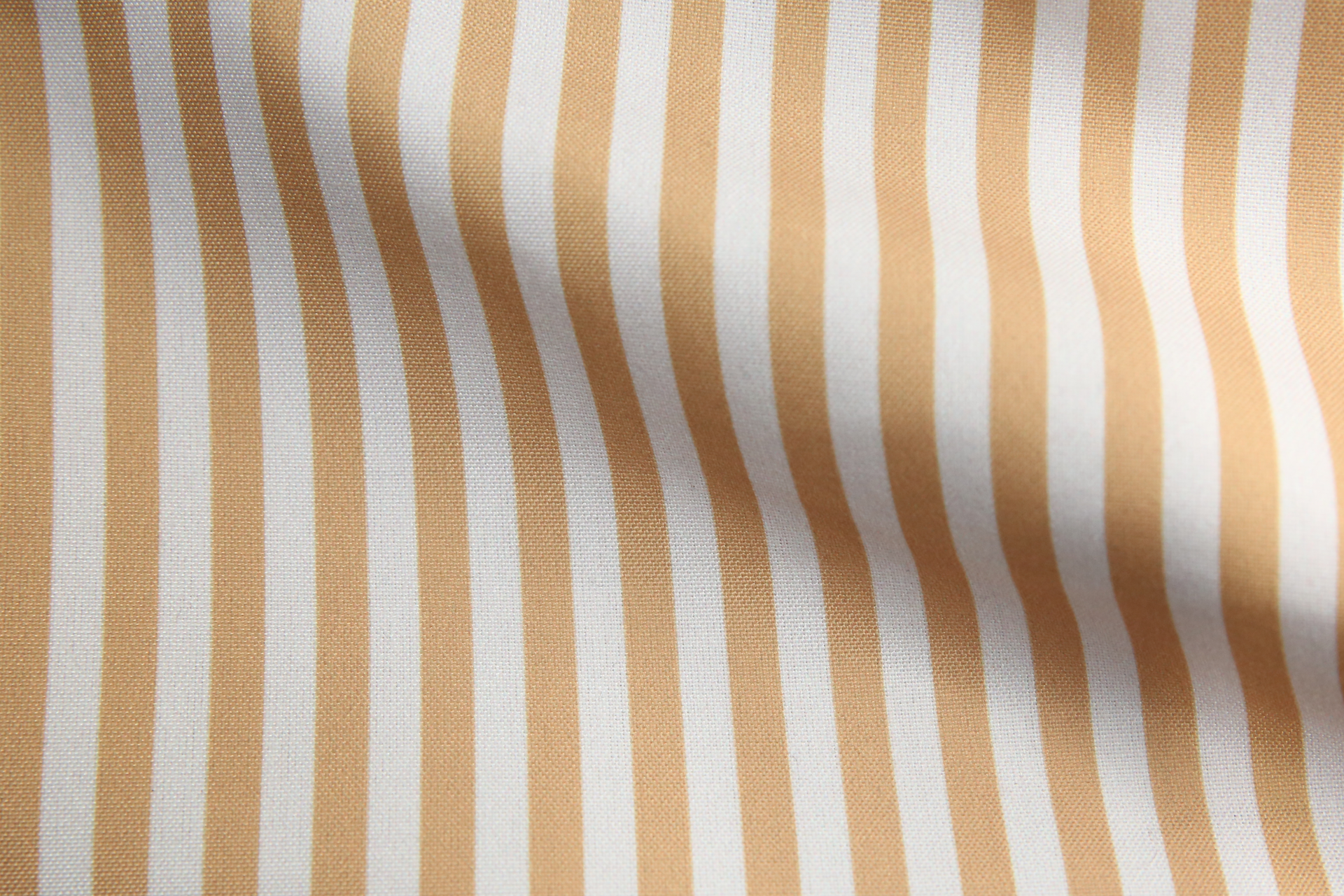 8 mm Stripe 'Mustard'