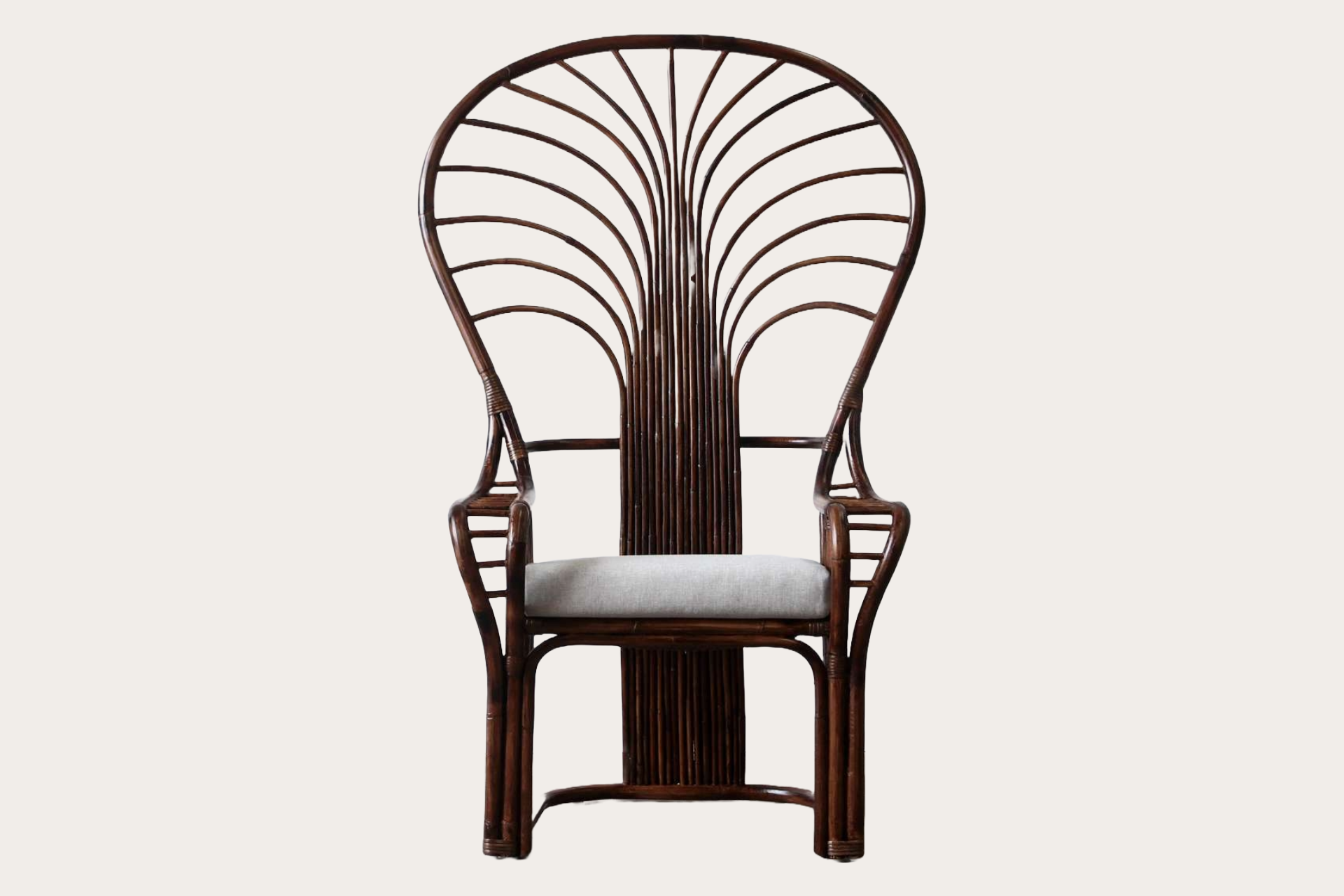 Royal Palm Feature Chair
