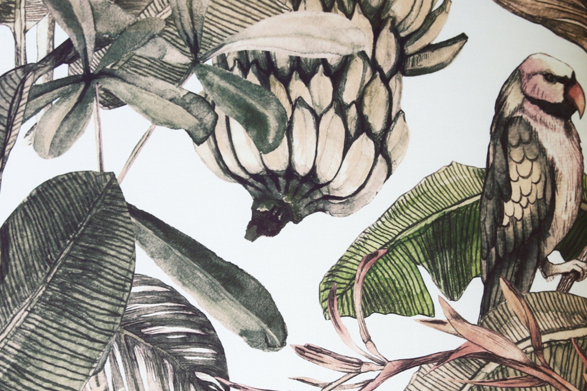 Tropicana